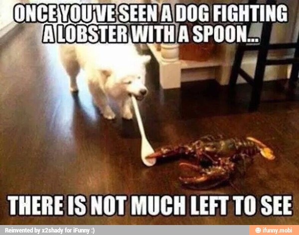 ONCEVOU\VE'SEEN A\DOG FIGHTING
AOS SPOONS
THERE IS NOT MUCH LEFT TO SEE