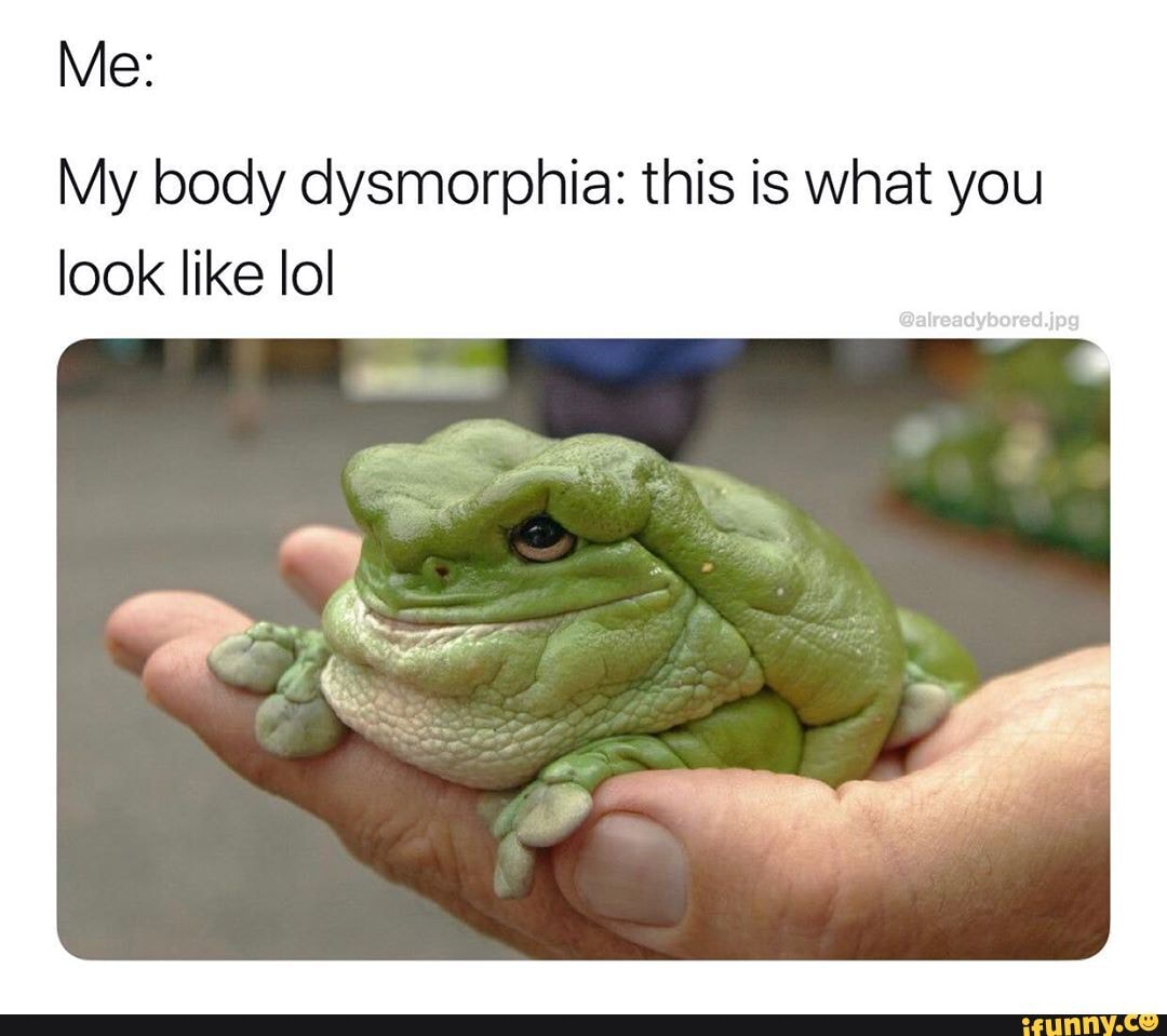 Me My body dysmorphia this is what you look like lol iFunny
