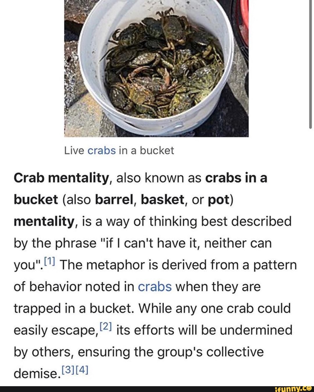 live-crabs-in-a-bucket-crab-mentality-also-known-as-crabs-ina-bucket