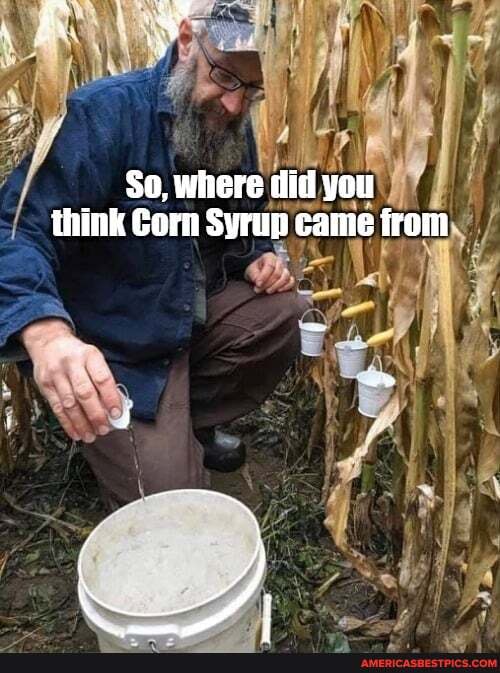 So, where did you think Gorn Syrup came from