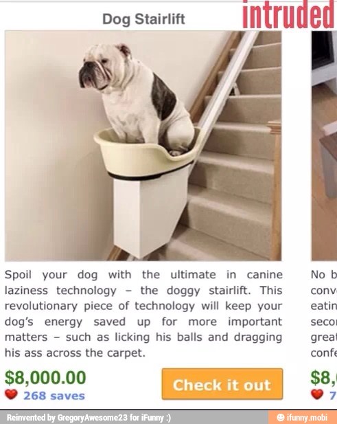 Spoil your dog with the ultimate in canine
laziness technology the doggy stairlift. This
revolutionary piece of technology will keep your
dog's energy saved up for more important
matters such as licking his balls and dragging
his ass across the carpet.
O 268 saves