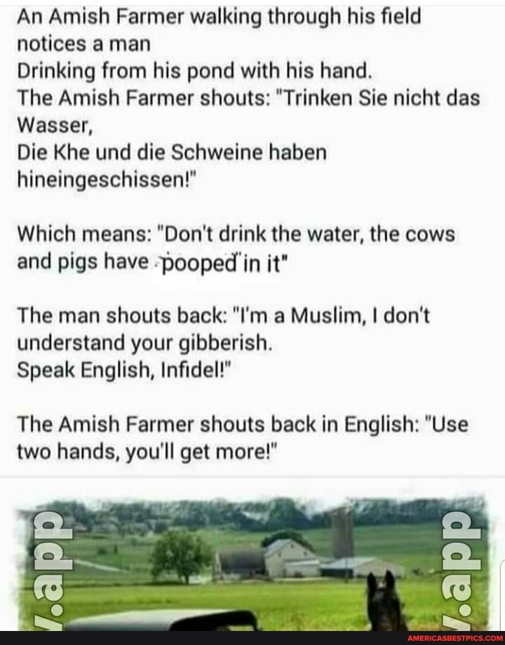 An Amish Farmer walking through his field notices man
Drinking from his pond with his hand.
The Amish Farmer shouts: "Trinken Sie nicht das
Wasser,
Die Khe und die Schweine haben hineingeschissen!"
Which means: "Don't drink the water, the cows and pigs have pooped in it"
The man shouts back: "I'm a Muslim, I don't understand your gibberish.
Speak English, Infidel!"
The Amish Farmer shouts back in English: "Use two hands, you'll get more!"
act