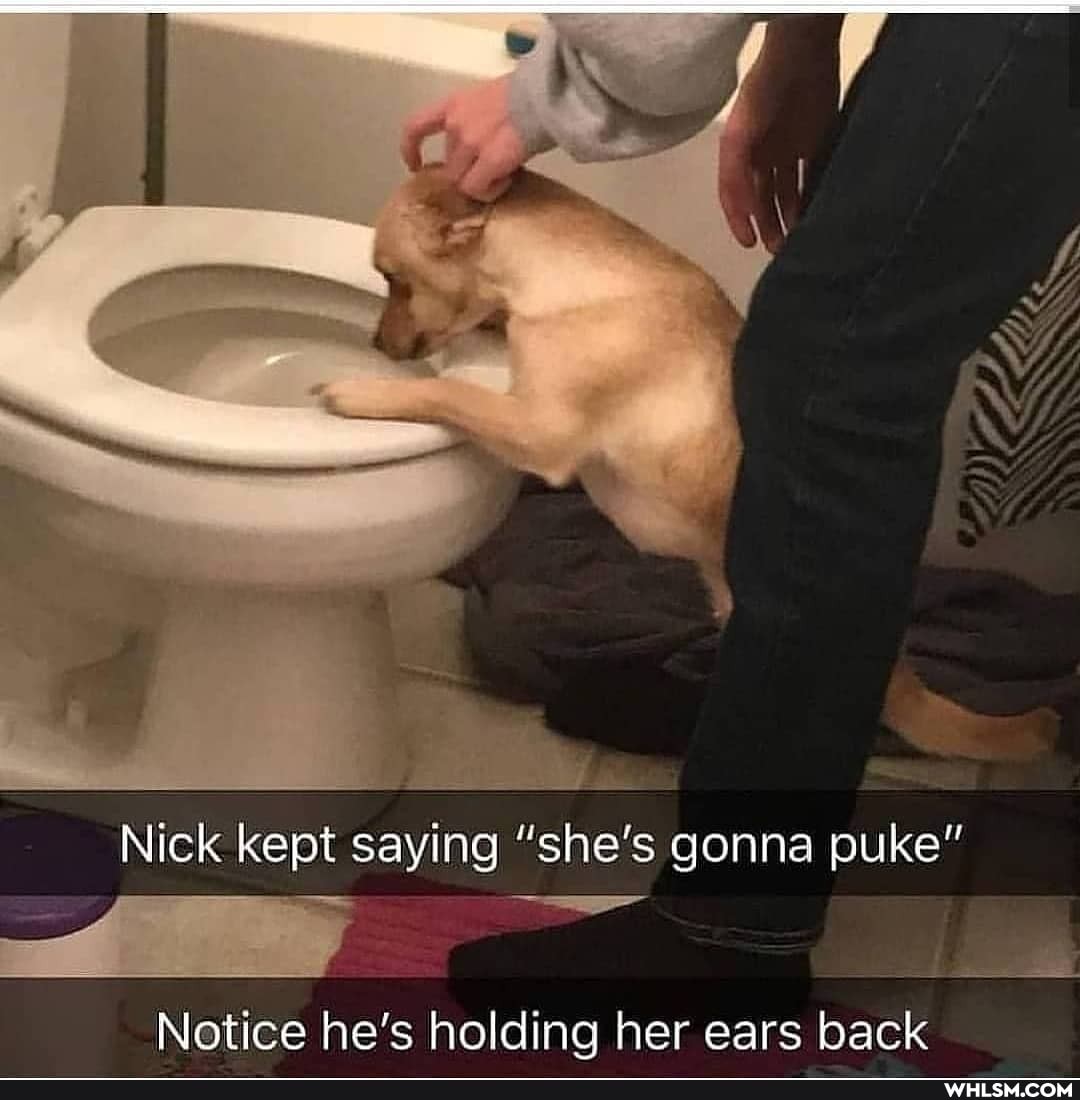 SS f
Nick kept saying "she's gonna puke"
Notice he's holding her ears back