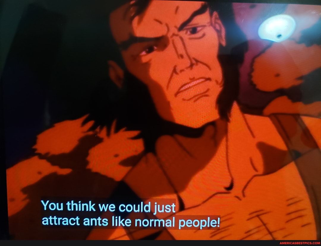 You think we could just attract ants like normal people!