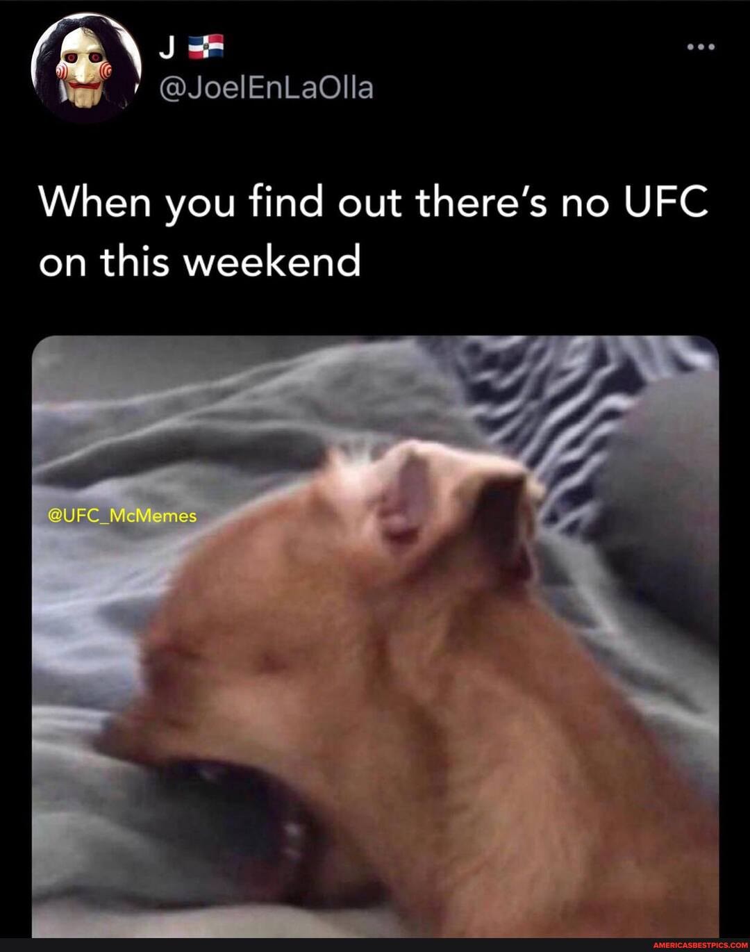 LENS
@JoelEnLaOlla
When you find out there's no UFC on this weekend
@UFC MciViemes