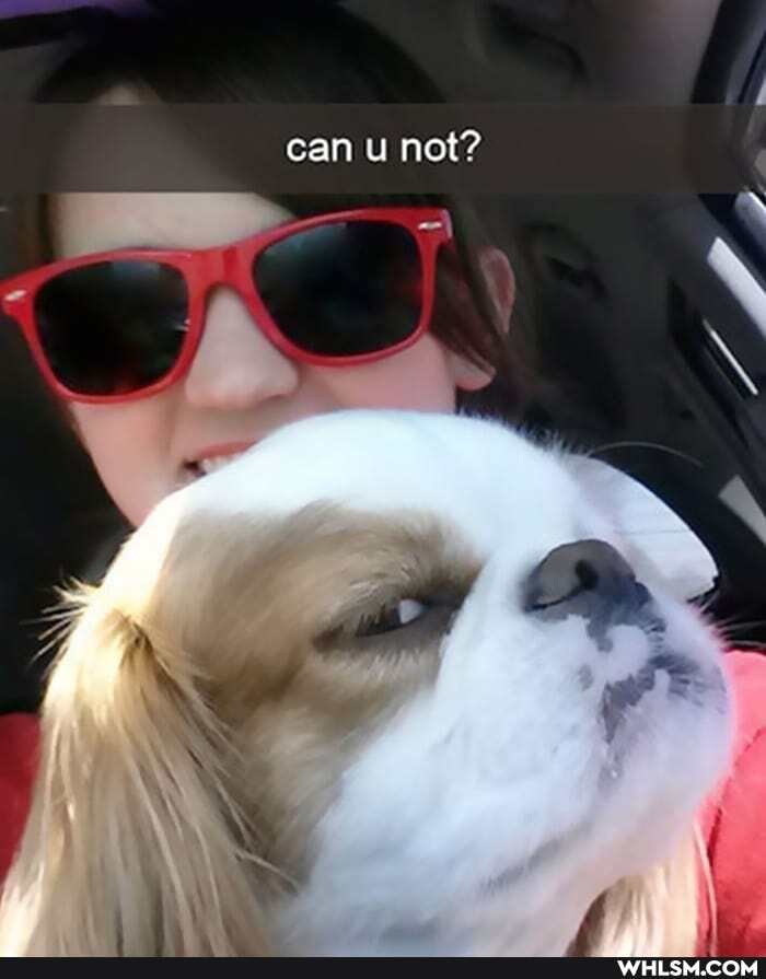 can u not?