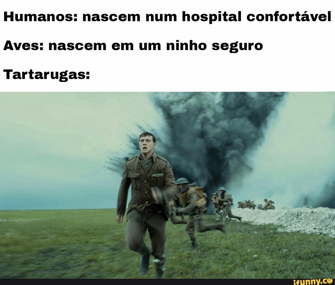 Humanos: nascem num hospital confortável
Aves: nascem em um ninho seguro
Tartarugas: