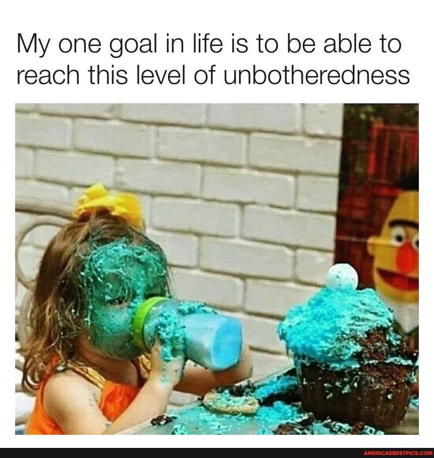 My one goal in life is to be able to reach this level of unbotheredness