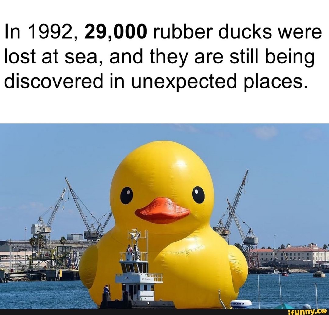 In 1992 29 000 Rubber Ducks Were Lost At Sea And They Are Still Being Discovered In Unexpected Places