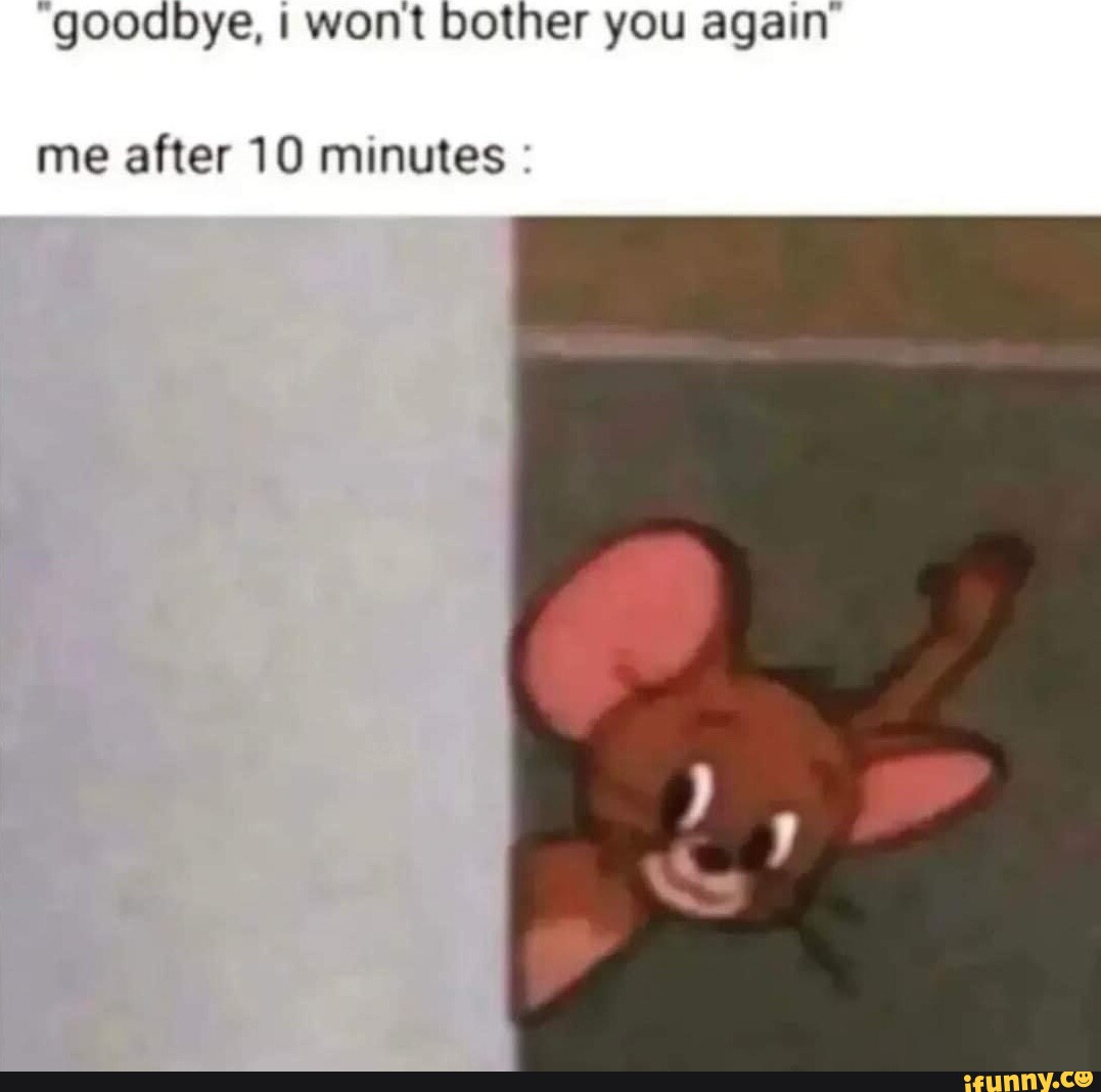 goodbye-i-wont-bother-you-again-me-after-10-minutes-ifunny