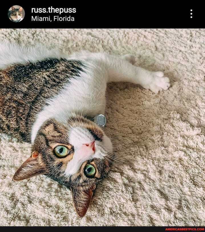 russ.thepuss
Miami, Florida