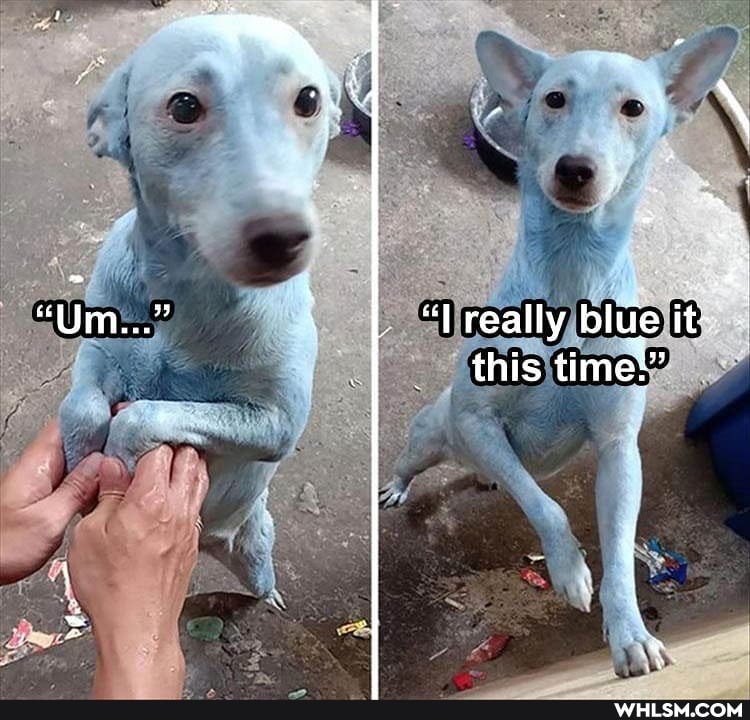 "Um
really blue it" this time:"