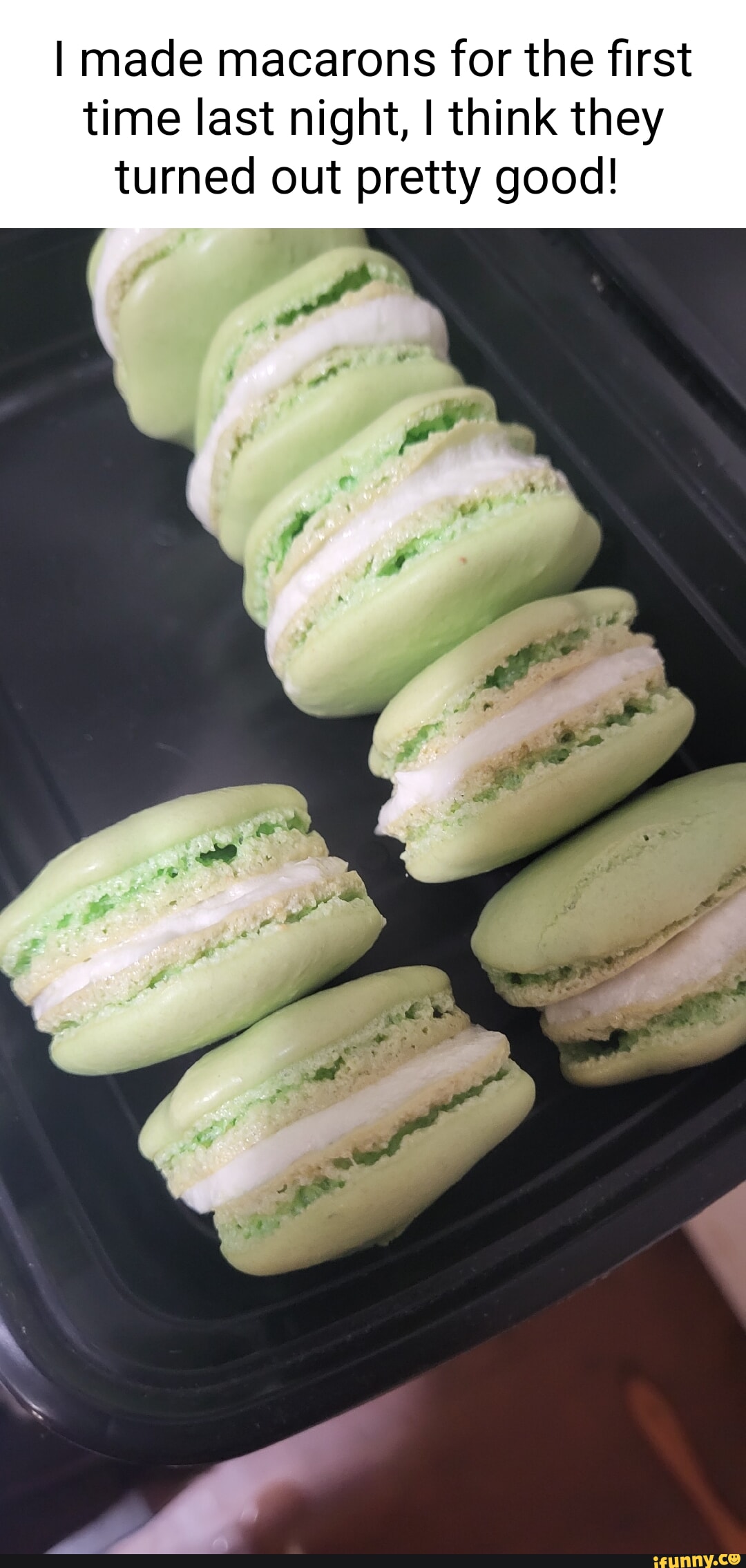 Macarons Memes