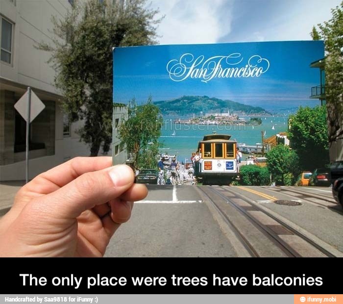 The only place were trees have balconies - The only place were trees have balconies