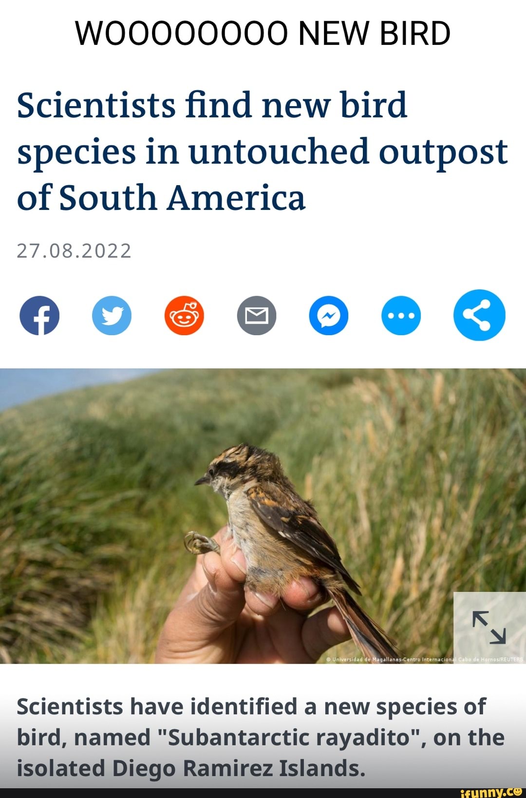 Scientists find new bird species in untouched outpost of South America ...