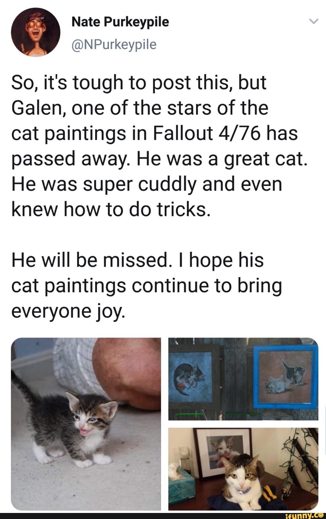 So, it's tough to post this, but
Galen, one of the stars of the
cat paintings in Fallout 4/76 has
passed away. He was a great cat.
He was super cuddly and even
knew how to do tricks.
He will be missed. I hope his
cat paintings continue to bring
everyone joy.