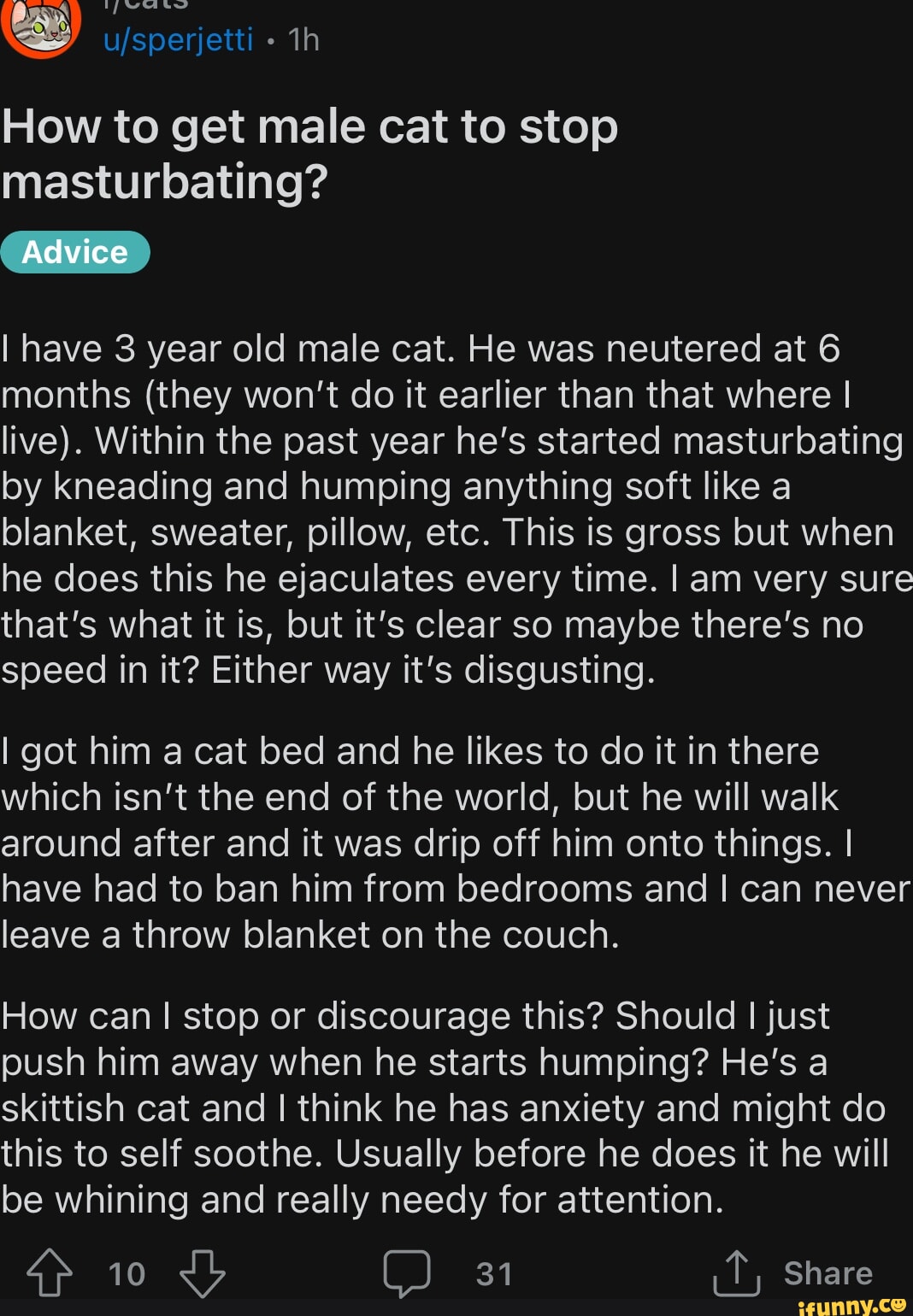 how-to-get-male-cat-to-stop-masturbating-advice-i-have-3-year-old-male