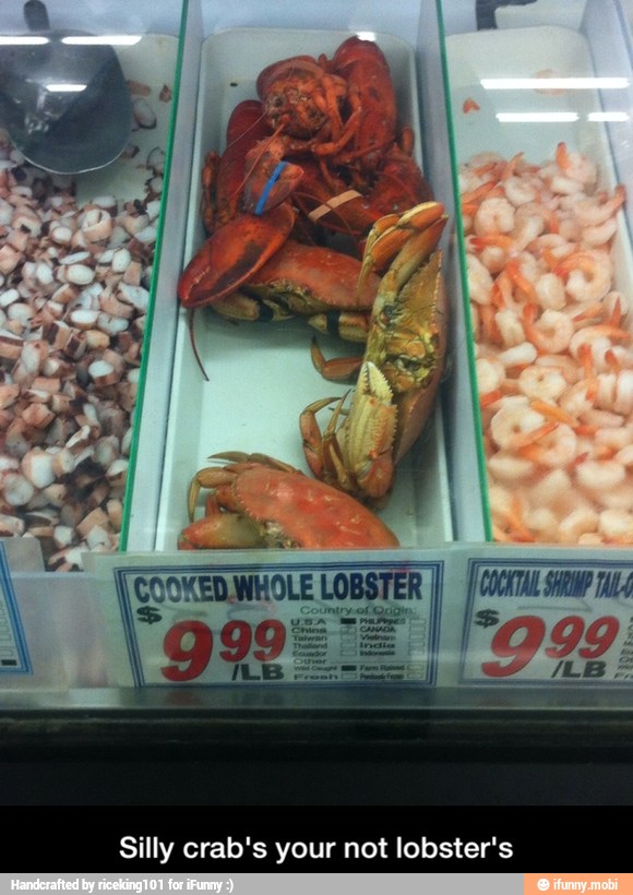 Silly crab's your not lobster's - Silly crab's your not lobster's