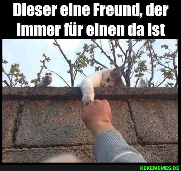 Dieser eine Freund, der immer für einen da Ist