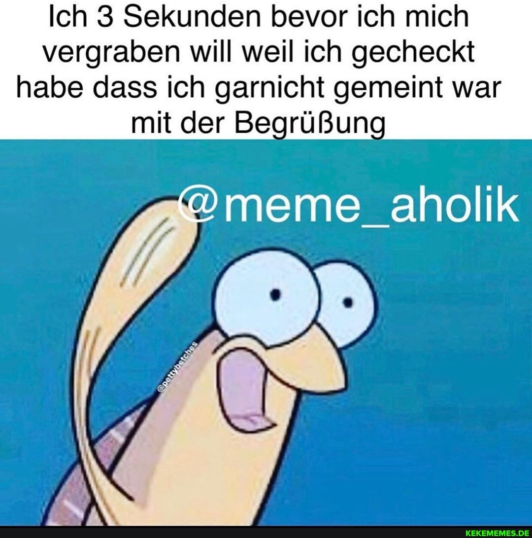 Ich 3 Sekunden bevor ich mich vergraben will weil ich gecheckt
habe dass ich garnicht gemeint war mit der Begrüßung
meme_aholik