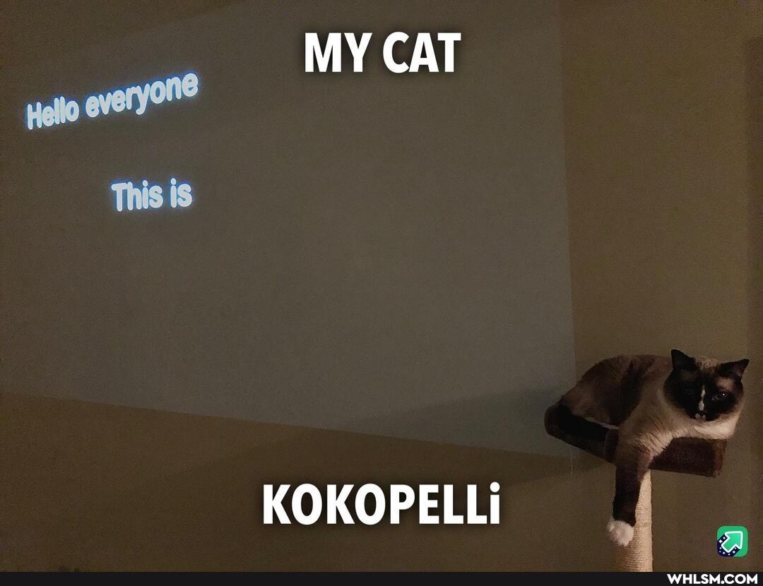 MY CAT
KOKOPELLI