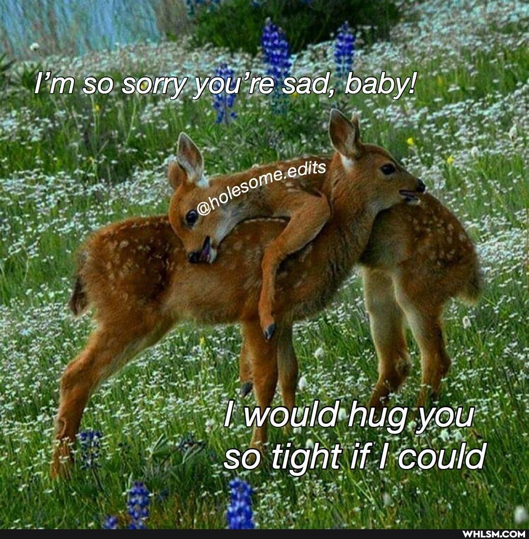l'm so sorry you're sad, baby!
would hug you so tight if I could