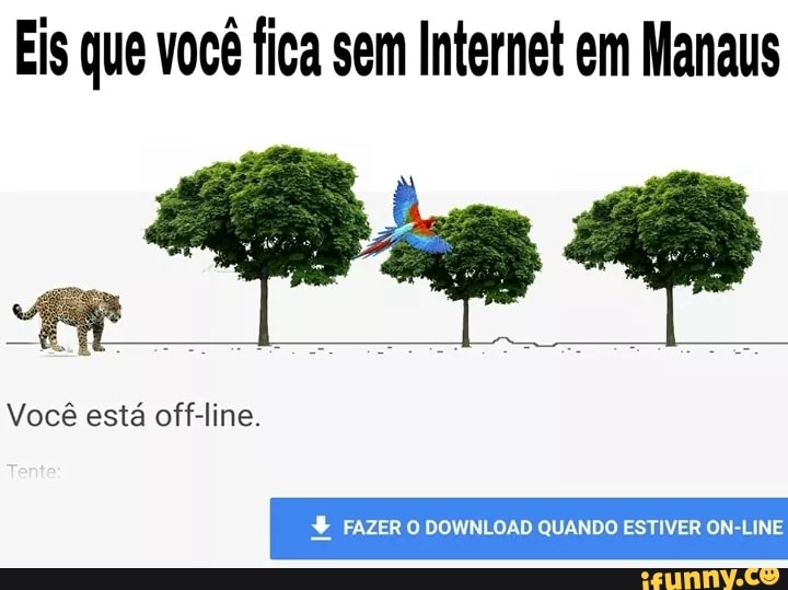 Eis que você fica sem Internet em Manaus