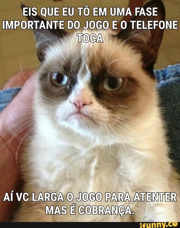 EIS QUE EU TÔ EM UMA FASE
IMPORTANTE DO JOGO E O TELEFONE