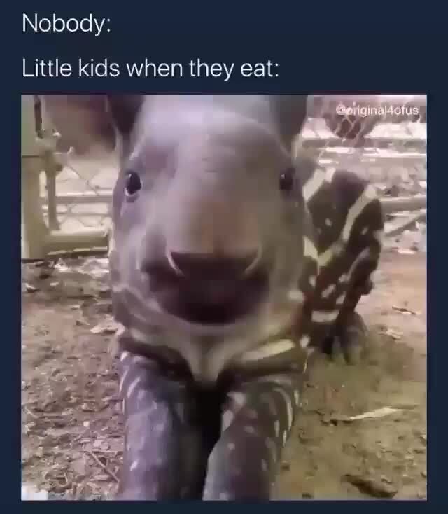 Smacking Lips While Eating Meme