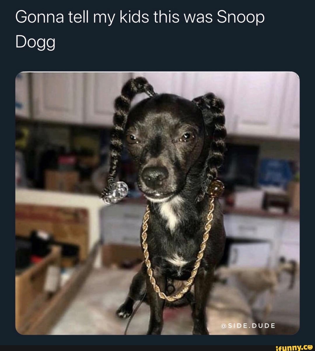 Gonna tell my kids this was Snoop