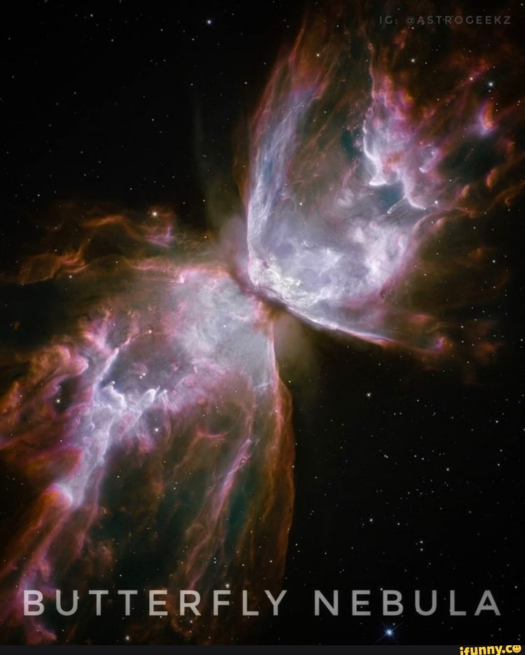 BUTTERFLY NEBULA