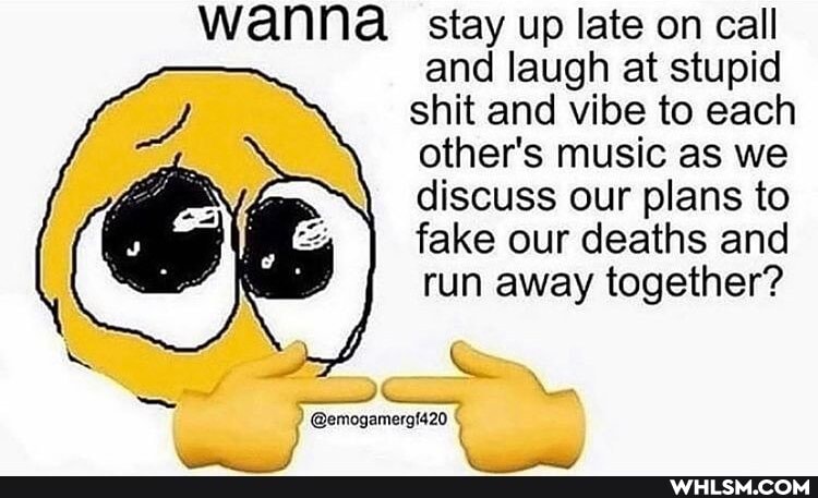 wanna stay up late on call
and laugh at stupid
shit and vibe to each other's music as we discuss our plans to fake our deaths and run away together?
@emogamergt420