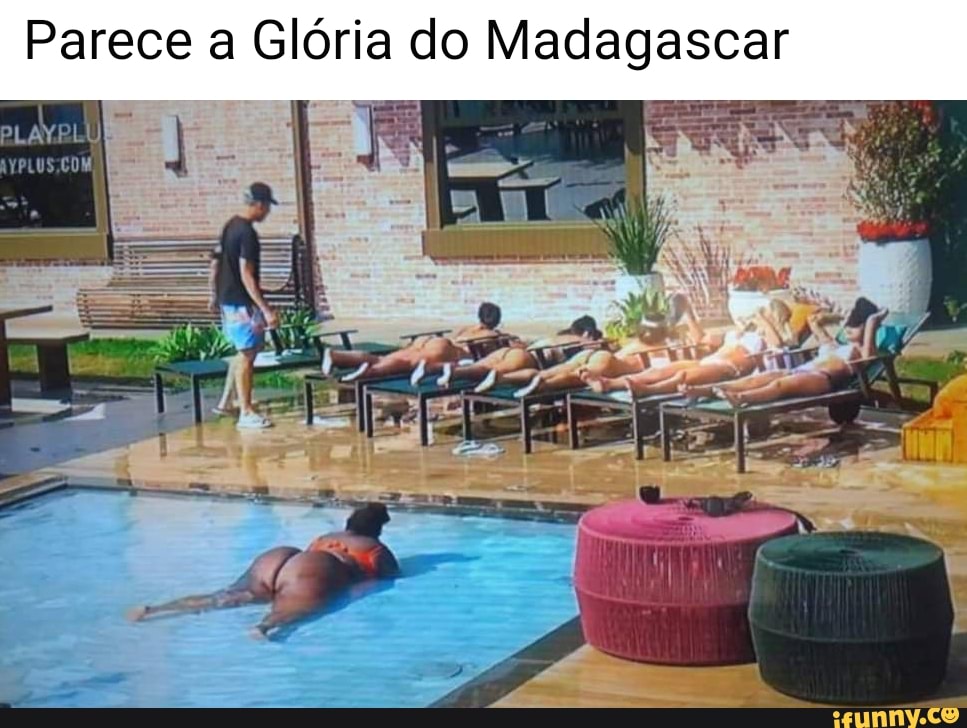 Parece a Glória do Madagascar
PLU