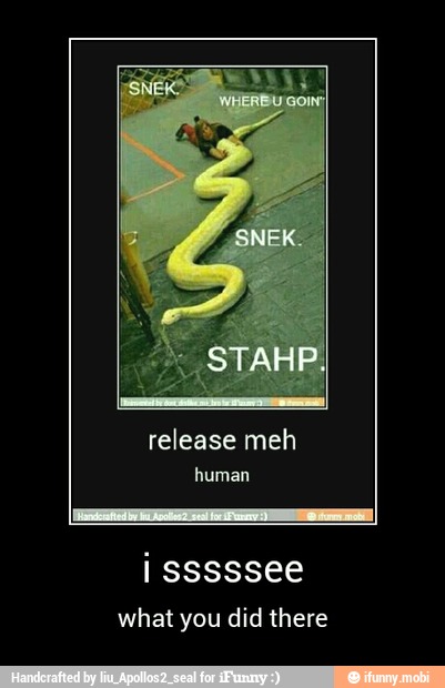 release meh
human
i sssssee
what you did there - i sssssee
what you did there
