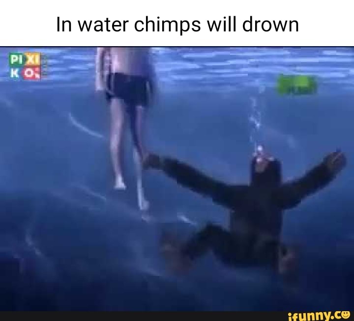 In water chimps will drown - iFunny Brazil