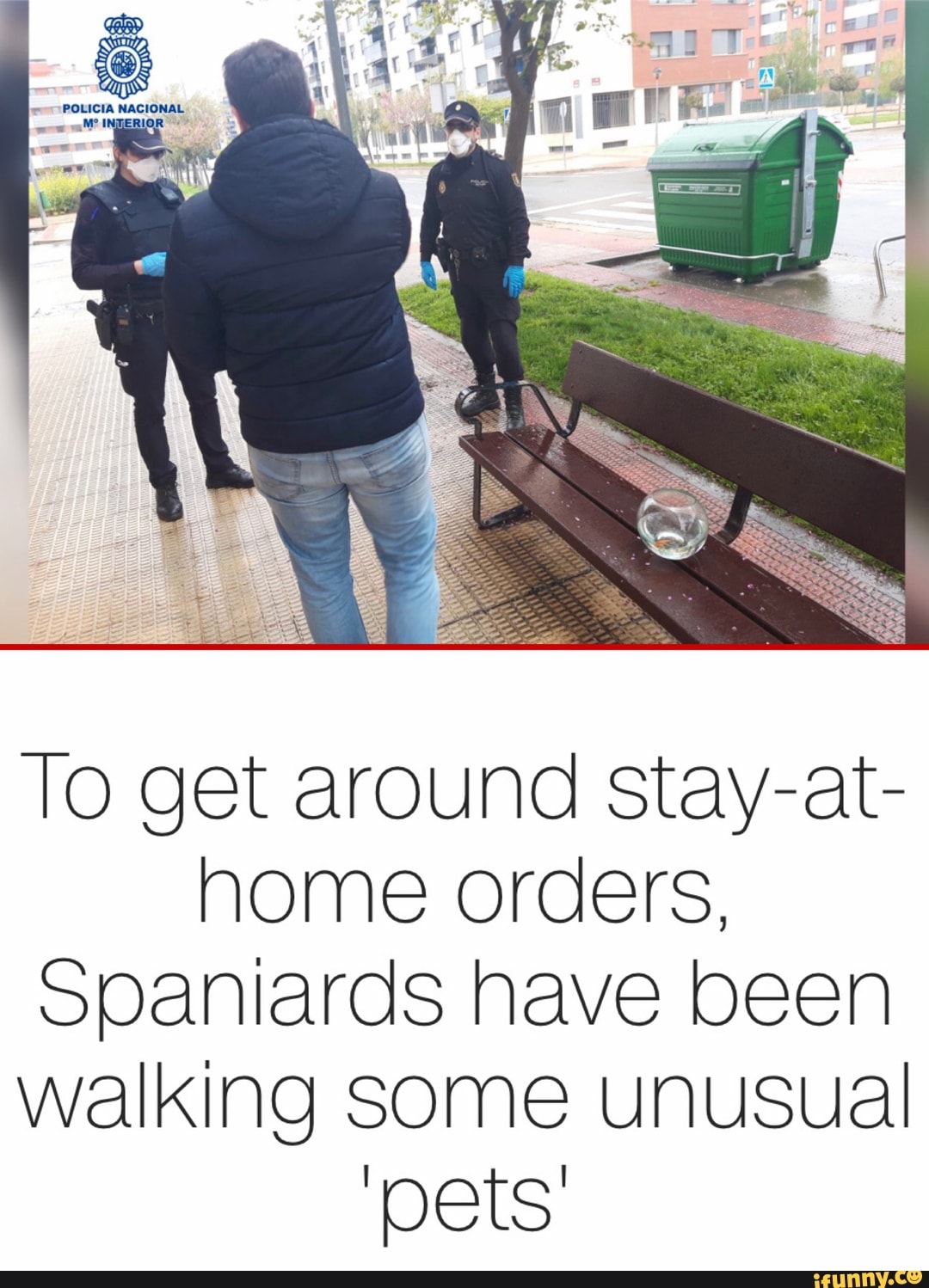 To get around stay-at-
home orders,
Spaniards nave been
walking some unusual
pets