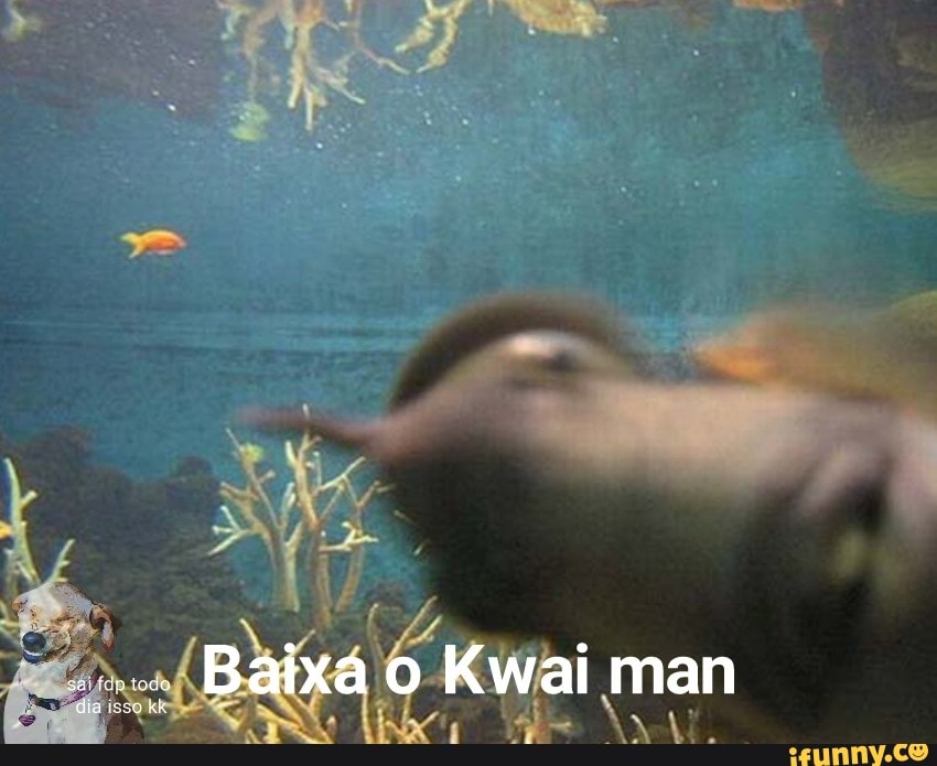 Baixa Kwai man