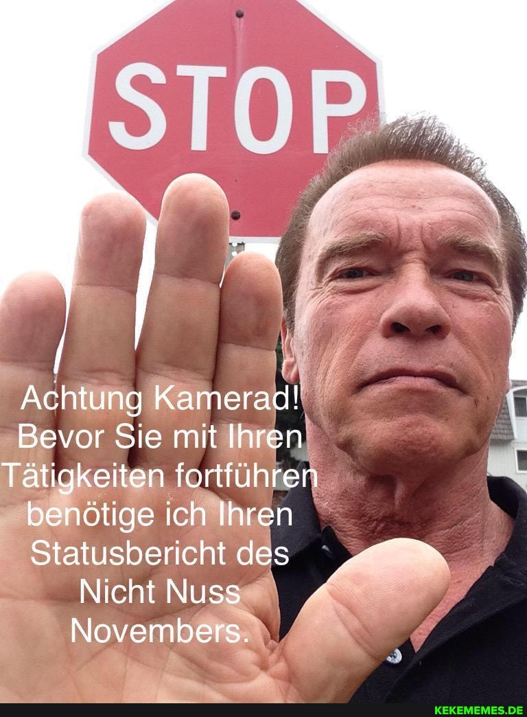 STOR.
Achtung Kamerad!
Bevor Sie mit Ihren
Tätigkeiten fortführen benötige ich Ihren
Statusbericht des
Nicht Nuss
Novembers.