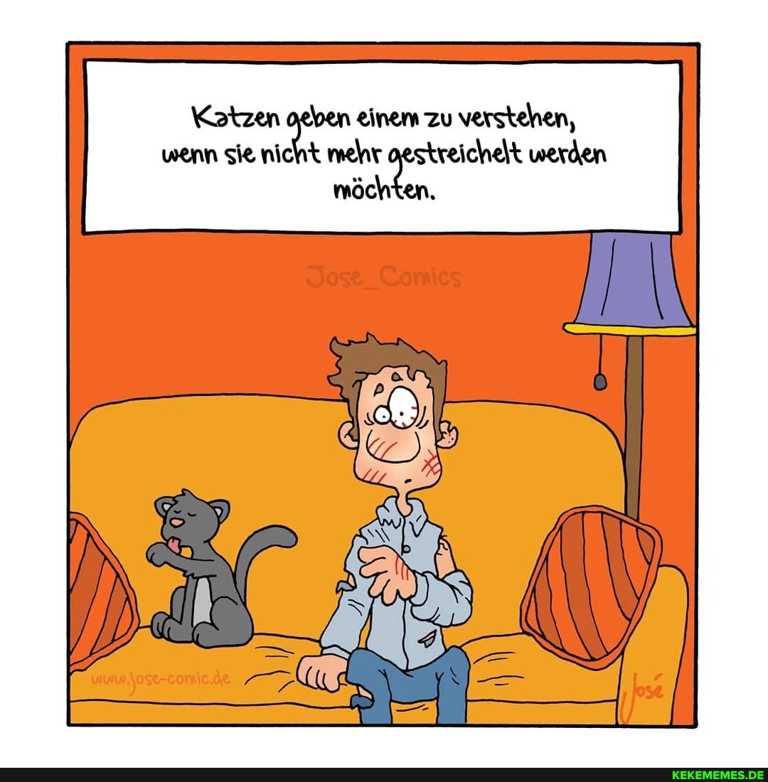 Katzen oeben einem zu verstehen, wenn sie nicht mehr oestreichelt werden möchten,
IN