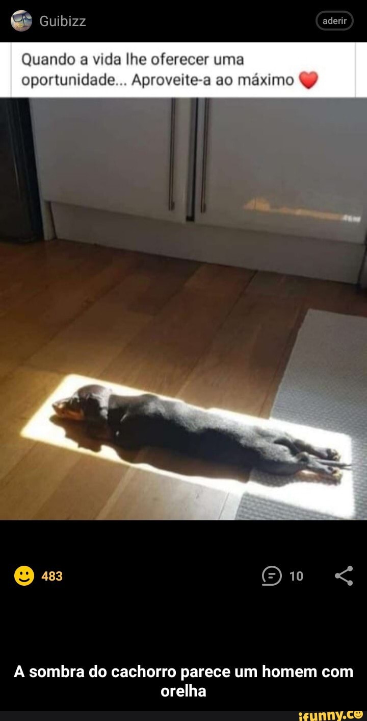 Guibizz aderir
Quando a vida lhe oferecer uma
oportunidade... Aproveite-a ao máximo QP
O 4: O
A sombra do cachorro parece um homem com orelha - A sombra do cachorro parece um homem com orelha