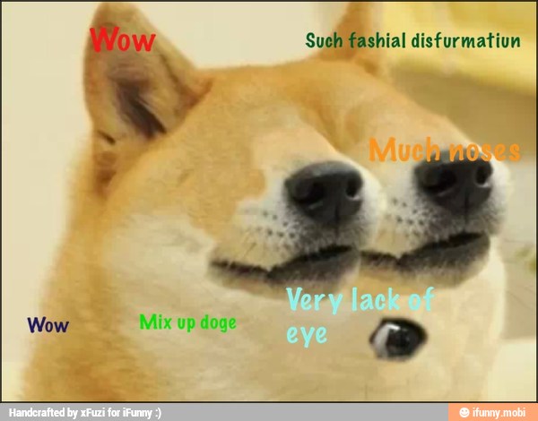 Such fashial disfurmatiun