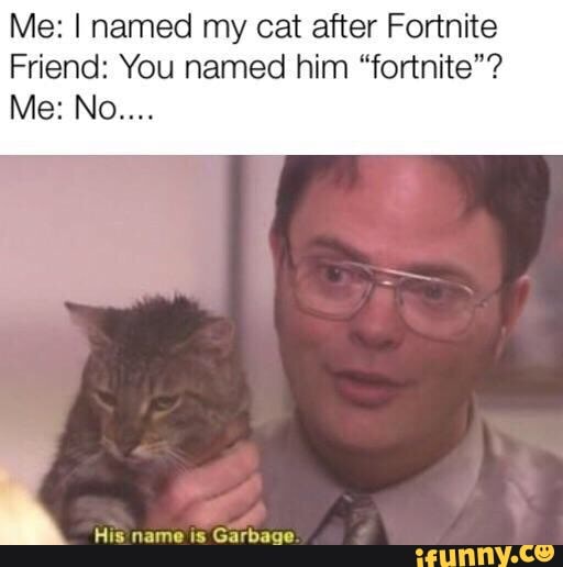 Me I Named My Cat After Fortnite Friend You Named Him Fortnite Me No 4 His Name Is Garbage