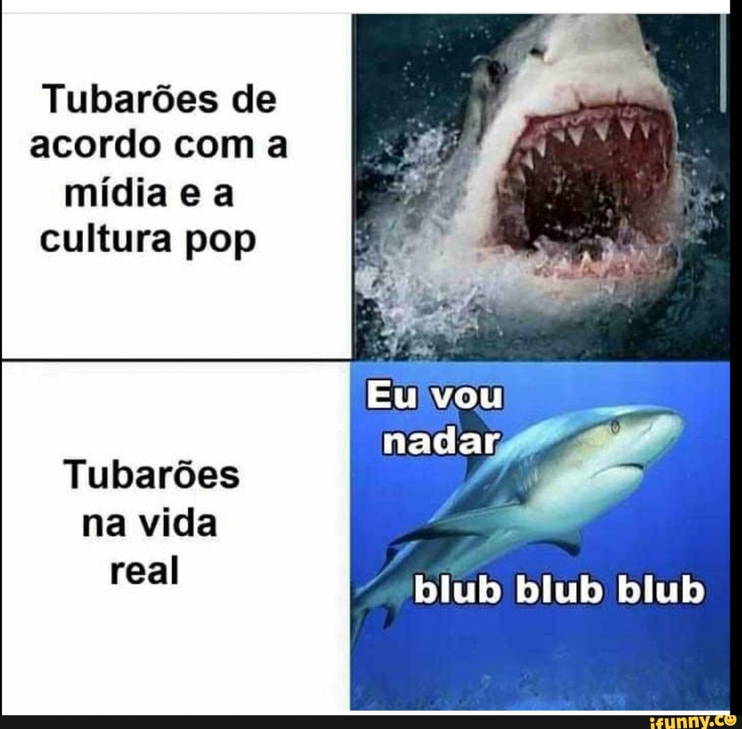 Tubarões de acordo com a mídia e a cultura pop
Eu vou
nadar
blub blub
Tubarões na vida real