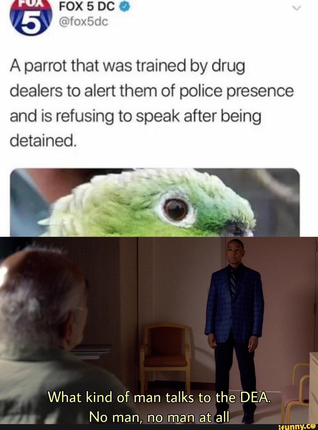 A parrot that was trained by drug
dealers to alert them of police presence
and is refusing to speak after being
detained.
What kind of man
talks to the DEA.
No man, no man at
all