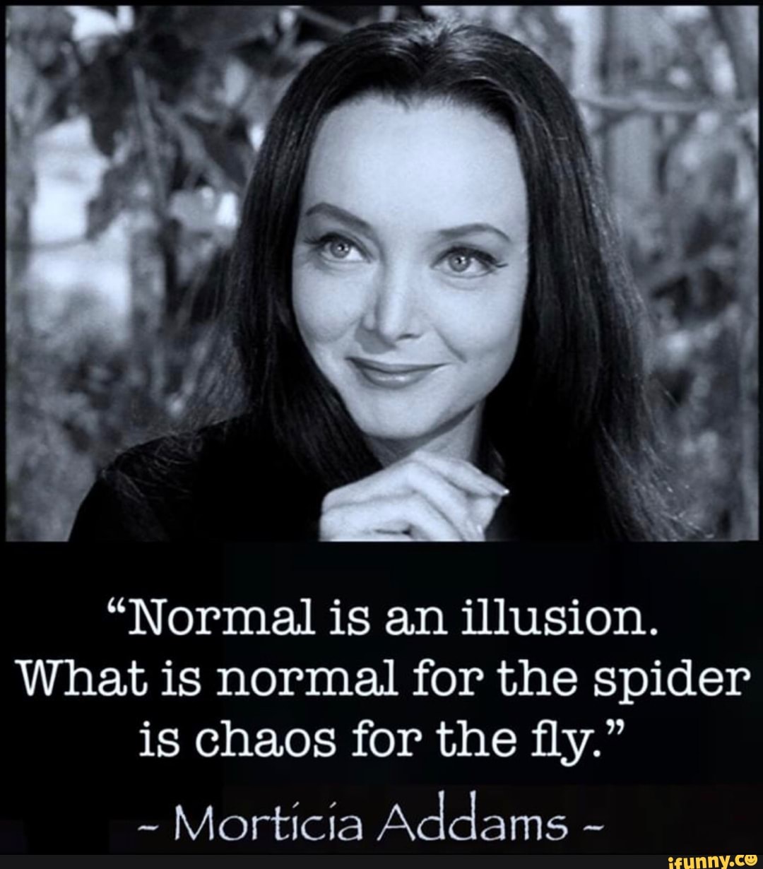 MAS
"Normal is an illusion.
What is normal for the spider is chaos for the fly."
~ Morticia Addams -