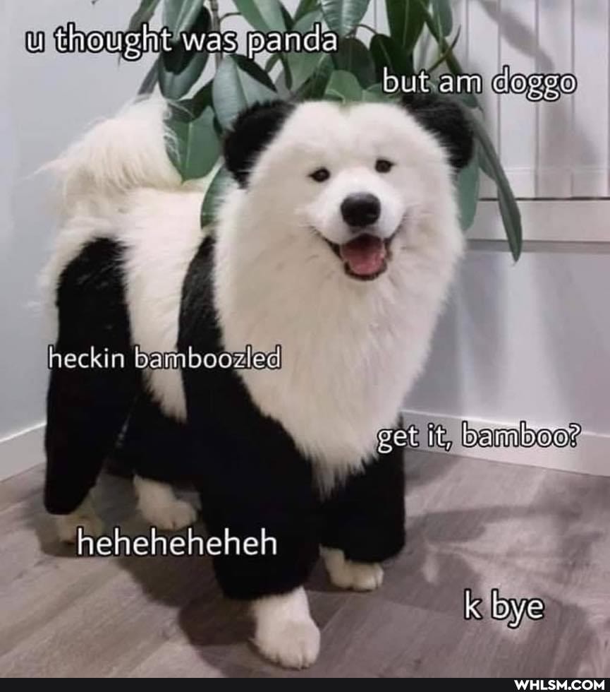 thoush= was panda
cel it, bambate
he eheheheheh
k bye