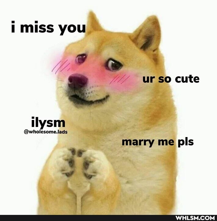 i miss you
ur So cute marry me pls
if