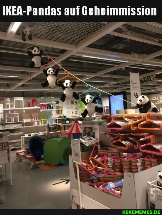 IKEA-Pandas auf Geheimmission