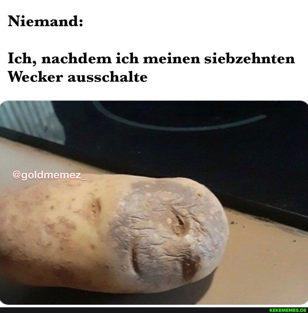 Niemand:
Ich, nachdem ich meinen siebzehnten
Wecker ausschalte
@goldmemez_