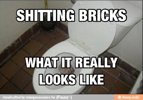 SHITTINGIBRICKS